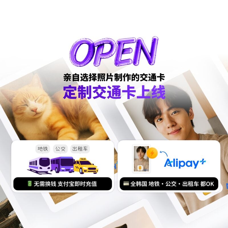 Alipay Custom